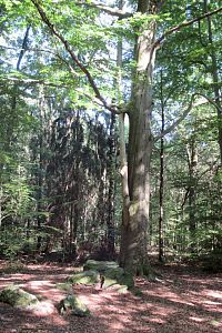 Jdeme k vyhlídce Vraní skála