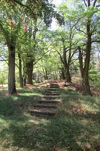 Přes Trutnov do Javorníků - 2. den: Hudlice - vyhlídka Hudlická skála - okruh cca 400 m; Tupadly - obec, zámek a bývalá rozhledna Slavín; Vrchovany - zřícenina hradu Starý Berštejn; Bakov nad Jizerou - pivovar Garp
