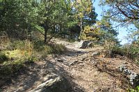 Cesta už trochu stoupá