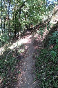 Podle fotky to tak prudké nevypadá