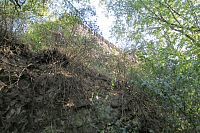 Už vidíme palisádu na hradu