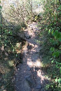 Ještě kousek a už tam budeme