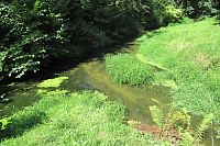 Mlýnský náhon vtéká do potoka Žehrovka