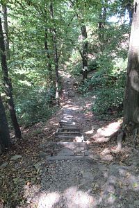 Přes Trutnov do Javorníků - 9. den: Nové Město nad Metují - hrad Výrov a Juránkova vyhlídka; Slavoňov - dřevěný kostel sv. Jana Křtitele se zvonicí a okruh cca 6 km: Klopotovské údolí, naučná stezka Obůrka Klopotov, bývalé lázně Rezek