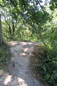 Zkoušeli jsme dostat se na zbytky hradu