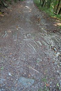 Zdá se, že je tohle zbytek původní dlážděné cesty