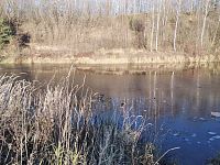 Klabava před vodními tunely u Ejpovic