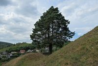 Snad jediný strom je ve svahu