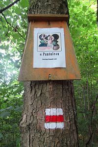 Obrázky svatých na cestě 14 svatých Pomocníků v nouzi