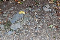 Břidlice je i na cestě