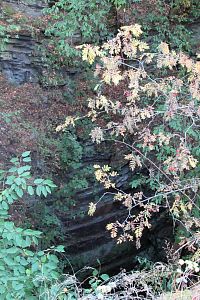 Ještě ta břidlice