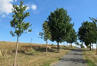 Velká Polom - jdeme na vyhlídku