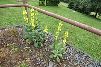 Beskydy - Staré Hamry - NS Gruň-Bílý Kříž