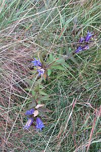 Beskydy - Staré Hamry - NS Gruň-Bílý Kříž