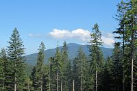 Přes Trutnov do Javorníků - 15. den - Beskydy: Staré Hamry - kostel sv. Jindřicha a pomník Maryčky Magdónovy, vodní nádrž Šance; Bílá - dřevěný kostel sv. Bedřicha, procházka 4 km: Masarykova chata - chata Kmínek