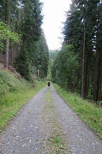 Z kopce náhle jdeme po normální kamenité cestě