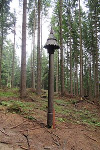 Říkala jsem si, co to má znamenat. Až později jsem zjistila, že jim tam chybí směrovky.