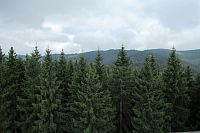 Výhledy z rozhledny