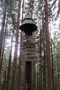 Tady už směrovky jsou