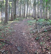 Když bych si sedla na bobek, byl by ten kopec víc vidět, ale pak bych se nemusela zvednout