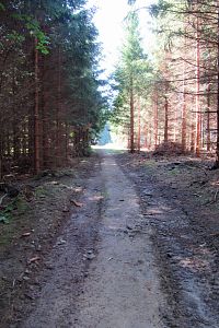 Vycházíme louku na vrcholu