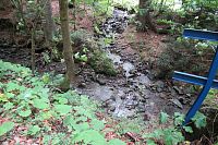 Soutok - do Záblatkového potoka se vlévá bezejmenný potok