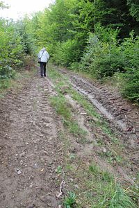 Jít se po tom nechá