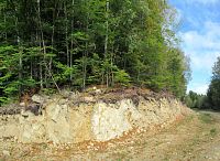 Cesta byla asi vysekaná ve zdejších skaliskách