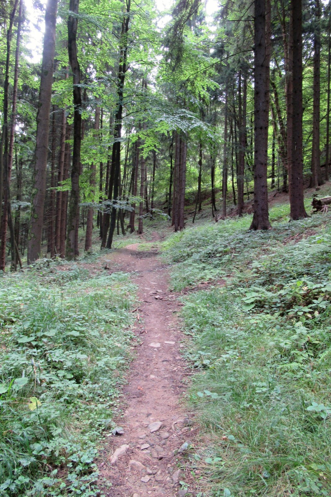 Z Javorníků přes Přerov domů - 1. den: Bílé Karpaty - cca 7 km: Študlov - pozorovatelna Durch - poutní místo Dělanovec s pramenem - vrchol Kyjanice; Drnovice - Drnovická vyhlídka; Vysoké Pole - křížová cesta Bojatín a zatmění Měsíce