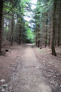 Už jdeme po hřebenovce