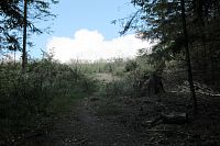 Neznačená cesta na vrchol Kyjanice s vyhlídkou