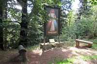 Obraz Božího Milosrdenství