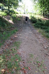 Stoupáme na Kyčeru