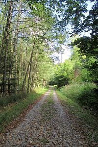 Už jdeme po neznačené cestě