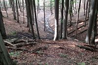 Přítok Bystřičky - na jaře to musí být hukot