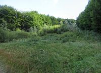 Tady možná bývala sjezdovka