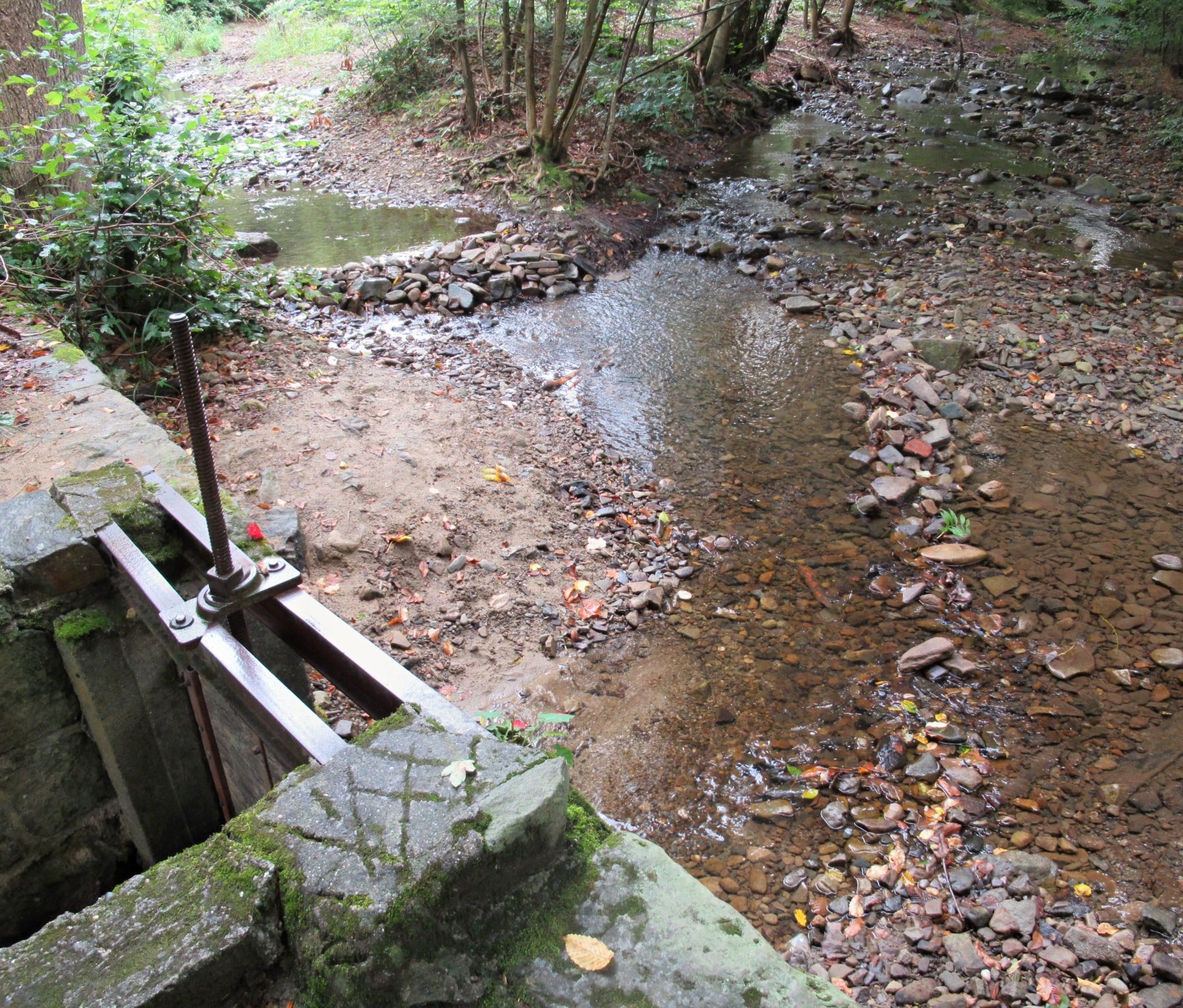 Z Javorníků přes Přerov domů - 4. den - okruh 5,5 km: Tučín - rozhledna Římská věž - NS s Tučňákem za poznáním (rybníček Plavisko s altánkem, kovová vyhlídka, discgolf, bývalý větrný mlýn s vyhlídkou, bývalý travertinový důl a další památky obce)