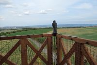 Dravci na rozhledně