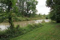 Moštěnka je po deštích hodně kalná