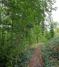 Cesta v zámecké oboře vede na střeleckou terasu