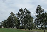 Je vidět, jak to fouká