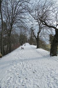 Na severních valech na nás vykukuje sluníčko