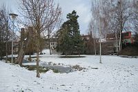 Parková úprava severně od zámku