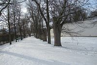 Zámecká lipová alej