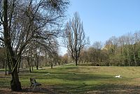 Bývalá osada Farkáň, vzadu se 140 let starým dubem červeným