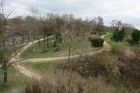 Pohled z rozhledny na lesopark