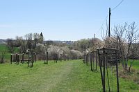 Historická Krteňská cesta vzadu s kostelem sv. Jana a Pavla, vlevo je malá posilovna