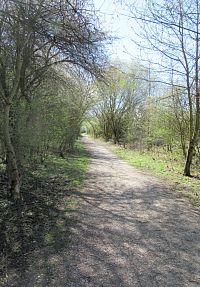 Cesta z Jinočan do Nučic