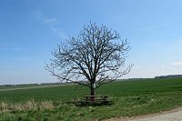 Na odbočce k Višňovce