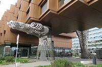 Ruka archanděla Gabriela